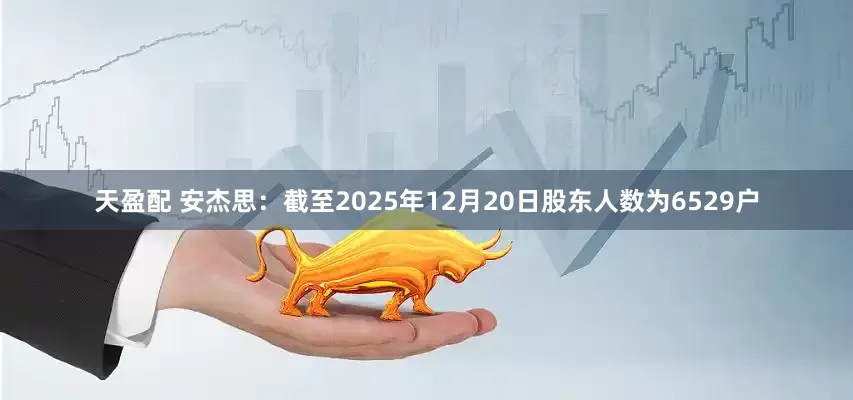 天盈配 安杰思：截至2025年12月20日股东人数为6529户
